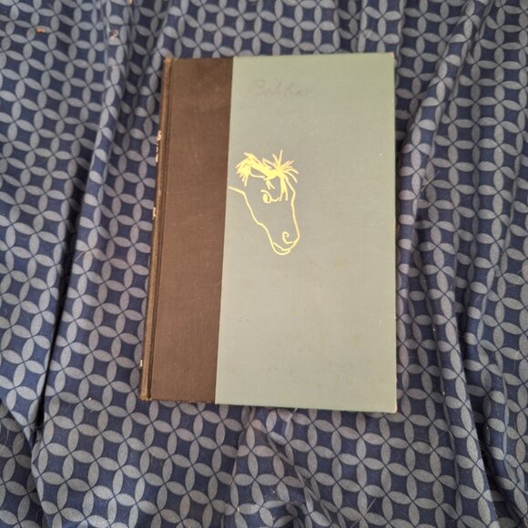 Mr Robbins Rides again - Picture 7 of 7